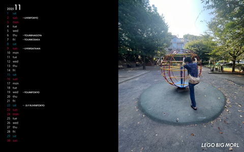 CALENDAR 11月（1920）